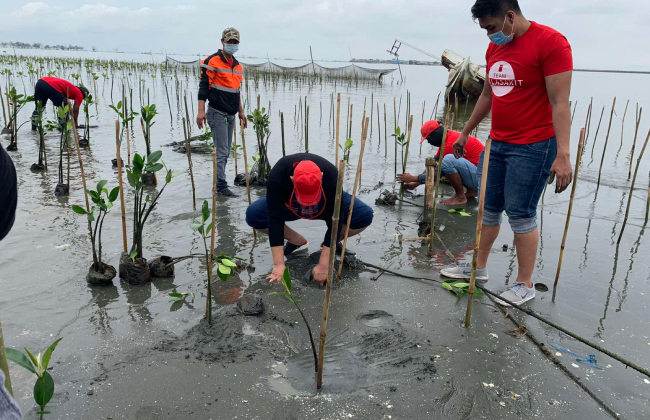 Mangrove Planting 2